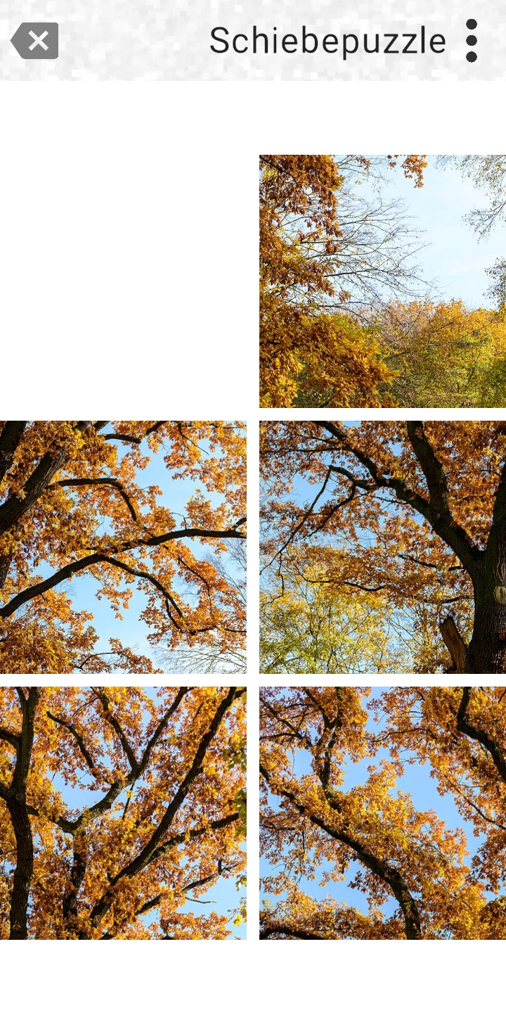 Spiel Eiszeit mit der App uRnature