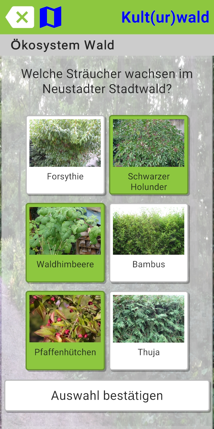 Spiel Baumerkennung mit der App uRnature