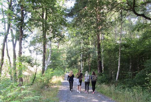 Jugendliche mit der App uRnature im Wald unterwegs
