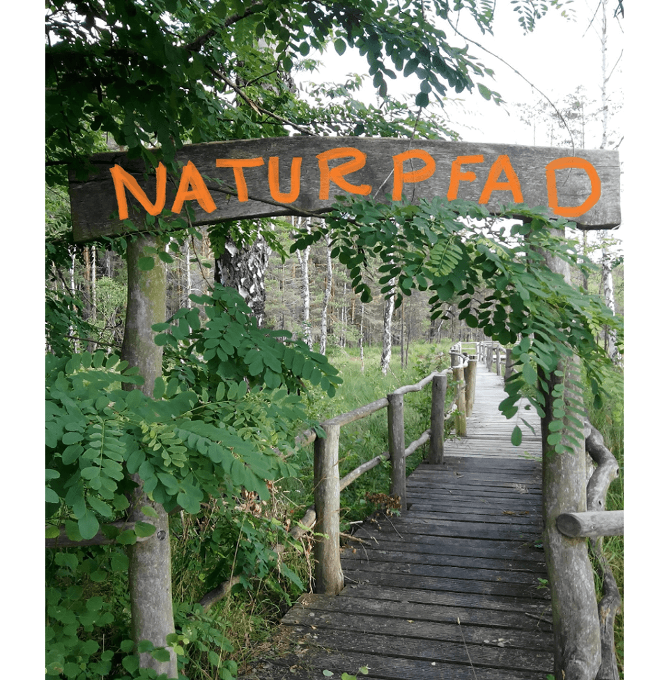 Steg entlag eines Naturpfades