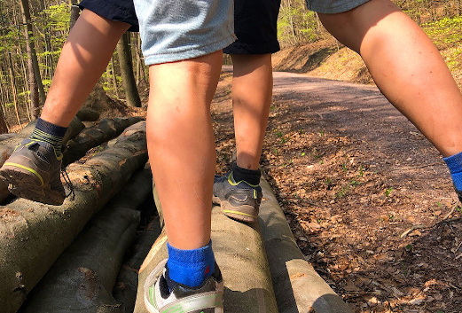 Gummistiefel auf einem Baumstamm